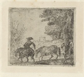 フォードで馬とライダー